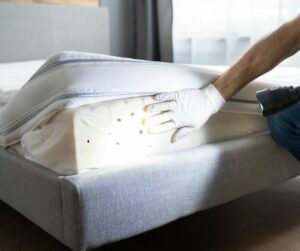  Punaises de lit sur un matelas – inspection et traitement professionnel